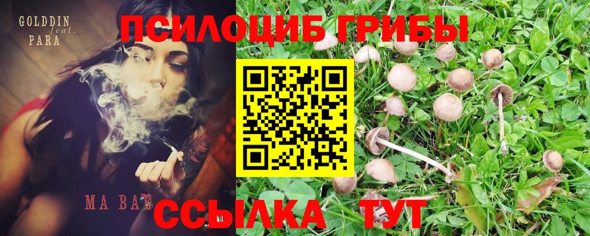 Галлюциногенные грибы мицелий  Псилоцибиновые грибы Magic Shrooms  Вход с VPN  Сатка 